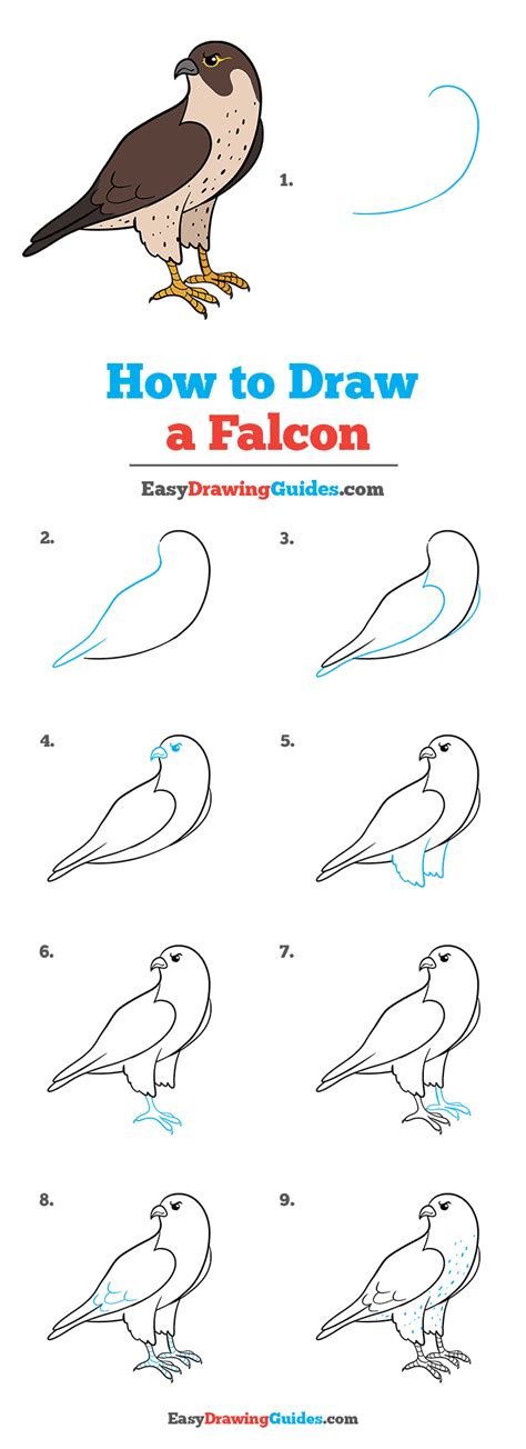 How To Draw A Falcon Really Easy Drawing Tutorial