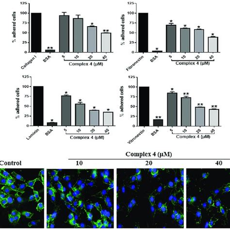 Effect Of Complex On Mda Mb Mcf And Mcf A Cells A Cell