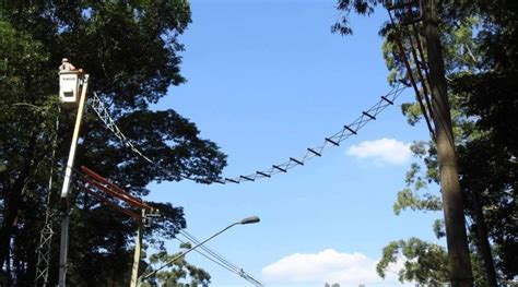 Instalação de passagens de fauna Lagoa da Prata Ponto