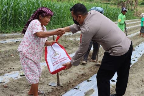 Bantuan Presiden Bagi Korban Gempa Di Taput Disalurkan ANTARA News