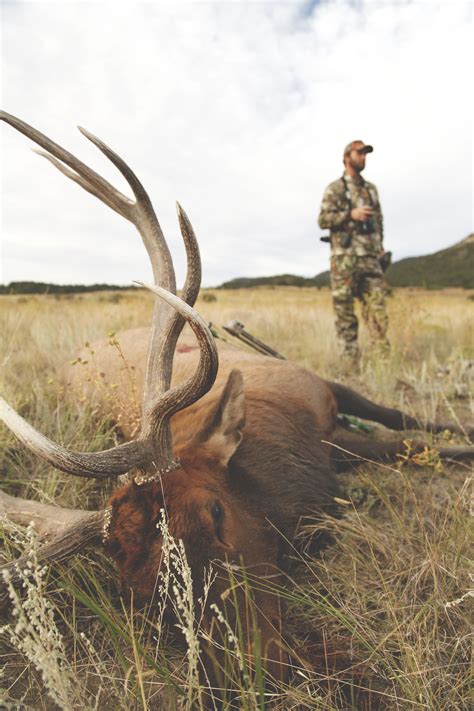 Michael Waddell Bio - Michael Waddell