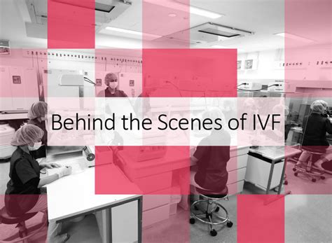 Behind The Scenes Ivf Top Oak Clinic Inc Osaka Tokyo