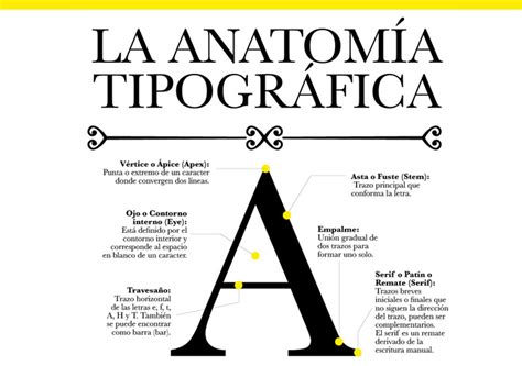 Infografía La anatomía tipográfica