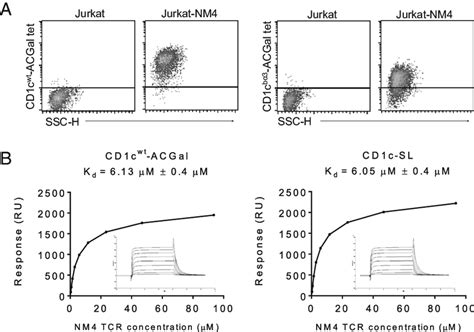 Cd C Acgal Complex Binding To Nm Tcr A Flow Cytometry Density Plots