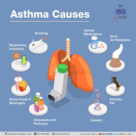 Best Hospital For Asthma Treatment In Hyderabad Bronchial Asthma