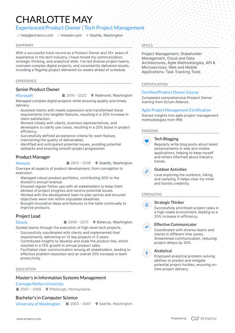 10 Product Owner Resume Examples And Guide For 2025