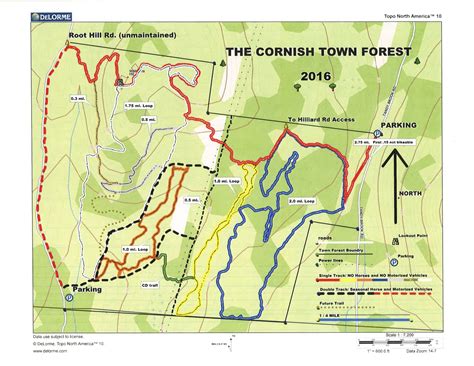 Cornish Town Forest Nemba