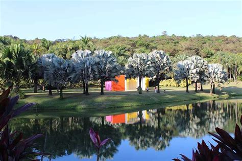 Museu de Arte Contemporânea conheça o Instituto Inhotim Brumadinho