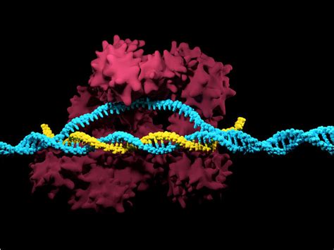 Crispr Anticipates Filing Of Lead Candidate Ctx001 In 18 To 24 Months Seeking Alpha