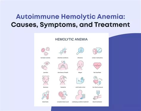 Autoimmune Hemolytic Anemia Causes Symptoms And Treatment