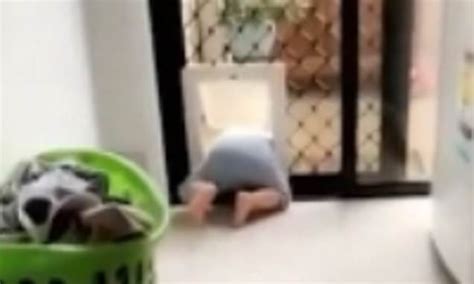 Toddler Gets Stuck In Doggy Door Daily Mail Online