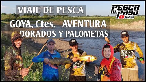 Dorados Y Super Palometas Pescando De Costa En Goya Parte 1 YouTube