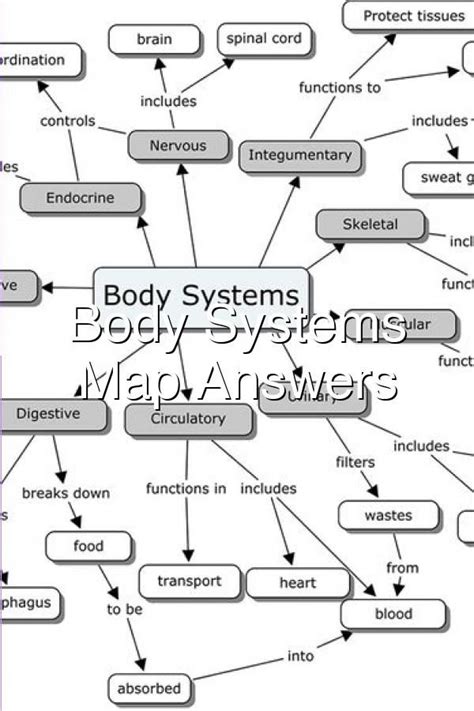 Body Systems Concept Map Answers