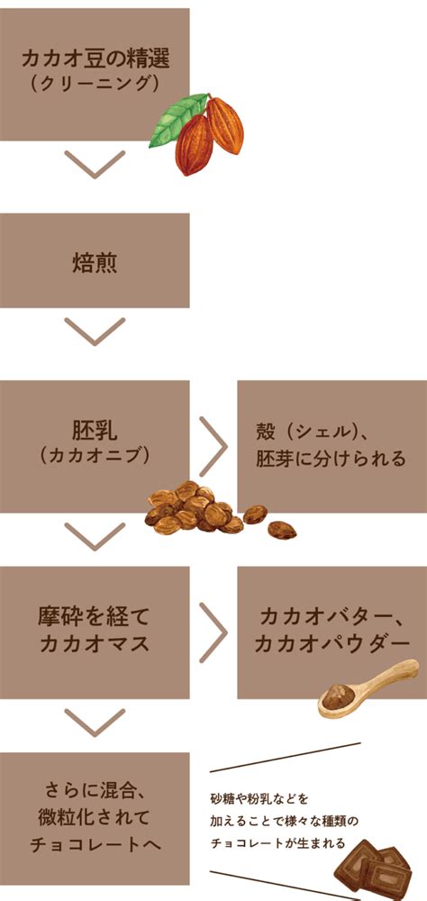 カカオニブとは？ 富澤商店 Column