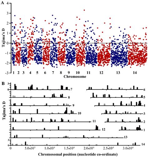 Distribution Of Tajimas D Values Across All Chromosomes For Each Of