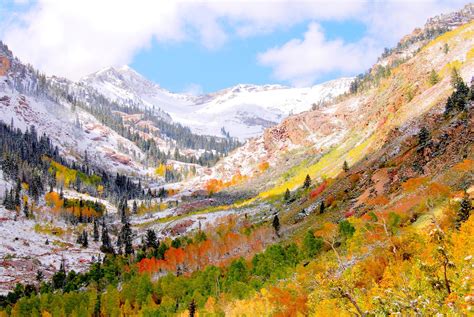 Aaron Wilson Photography: Fall in the Wasatch Mountain Range