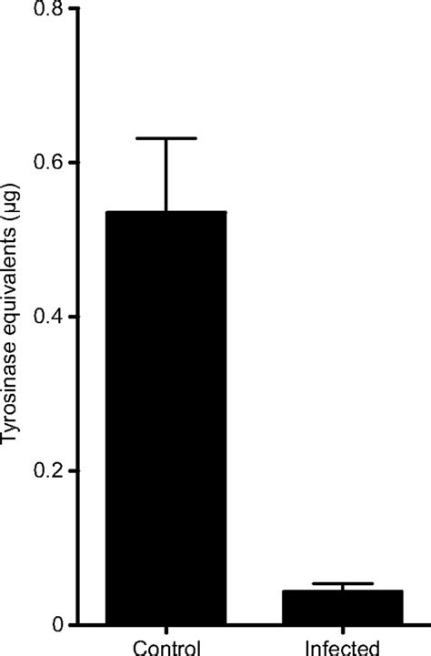 A Viral Aphrodisiac In The Cricket Gryllus Texensis Journal Of Experimental Biology The