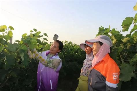 巾帼奋进正当时——河北省妇联团结带领妇女建功新时代工作综述澎湃号·政务澎湃新闻 The Paper