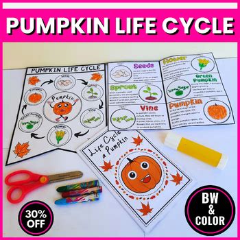 Pumpkin Life Cycle Craft – Fall Pumpkin Craft – Life Cycle of a Pumpkin
