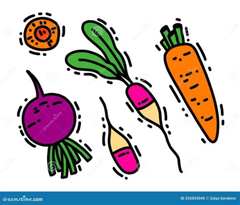 Root Crops Harvesting Flat Vector Illustration. Farmer Digging Big Beetroot. Autumn Harvest ...