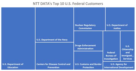 competitor highlights ntt data fedsavvy strategies