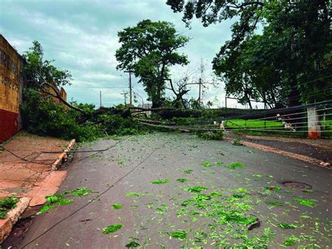 Tempestade Causa Estragos E Derruba V Rias Rvores Na Cidade Gazeta