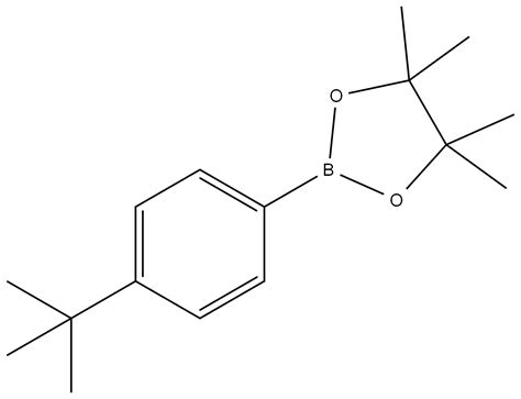 2 4 Tert ブチルフェニル 4 4 5 5 テトラメチル 1 3 2 ジオキサボロラン 214360 66 4