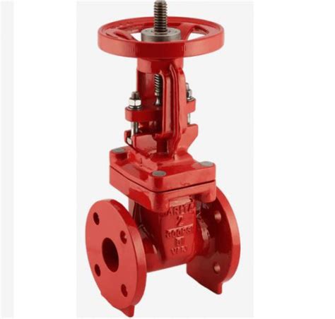 ARITA AFF RGA 33FF 300 OS Y Gate Valve Ductile Iron Body 300 Psi