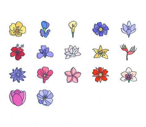 Premium Vector Flowers Vector Set