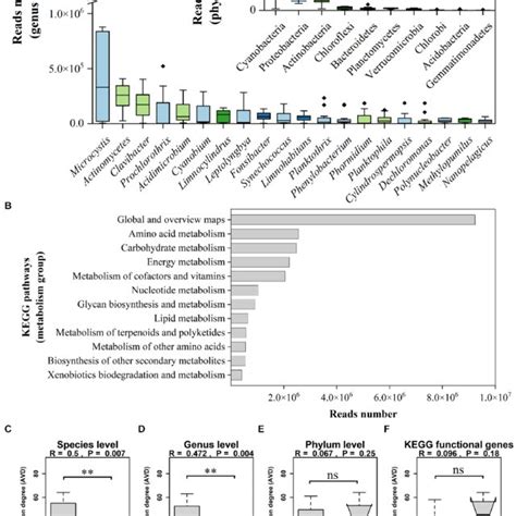 A Genus And Phylum Relative Abundance Variation Box Plot For The Most Download Scientific