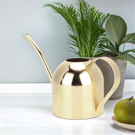 Amazon Kikkerland Wc Vintage Watering Can Gold Patio Lawn