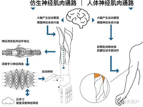 Brainco黑科技，让脑机接口真正改变千万肢残人士生活 知乎