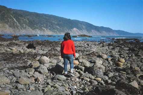 Shelter Cove California: Explore a remote beach town on the Lost Coast