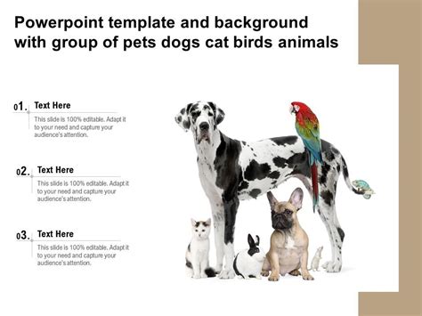 Powerpoint Template And Background With Group Of Pets Dogs Cat Birds