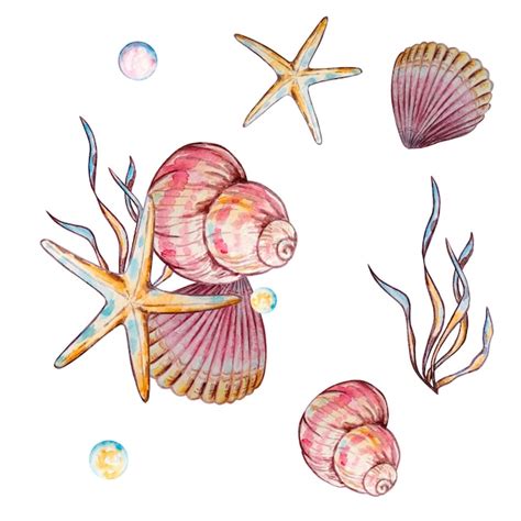 Premium Vector Watercolor Colorful Underwater Life Illustration