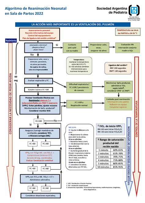 Files Algoritmo Reanimacion Sala De Partos 52 Cuidados En La Salud De