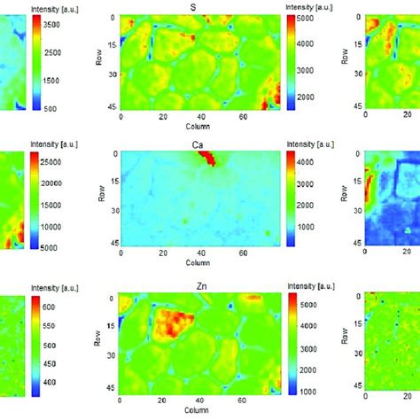 Element Distribution Maps For Selected Elements For A Sample From The Download Scientific