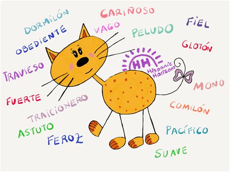 Adjetivos Para Gatos Mascotas Adjetivos Perro Gato