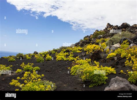 Volcán paisaje paisaje de lava al sur de Cabo de Punta de Fuencaliente