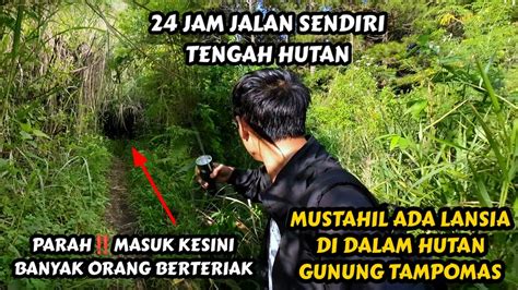 Aneh Tapi Nyata Kejadian Horor Hampir Tersesat Dan Hilang Di Gunung