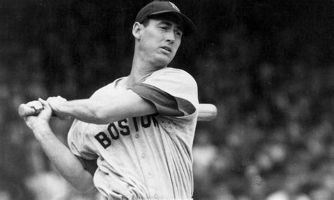 ted williams  baseball scholar