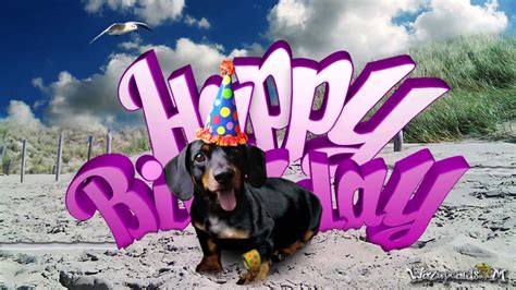 Happy Birthday Images With Dachshund💐 — Free Happy Bday Pictures And Photos Bday