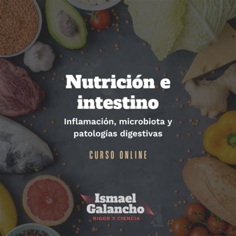 Curso De Nutrici N E Intestino Ismael Galancho Mar A Orti