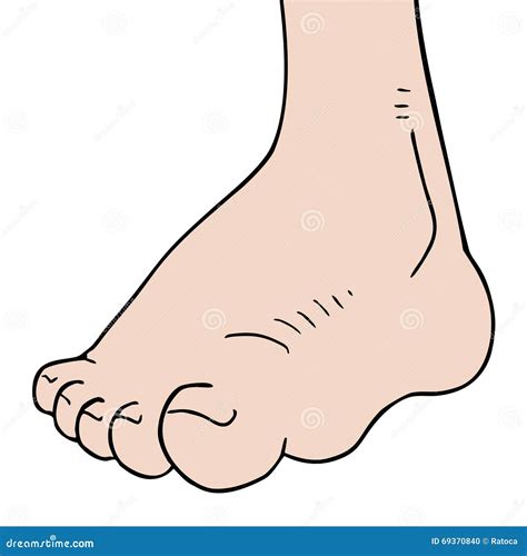 Cartoon foot stock vector. Illustration of drawing, style - 69370840