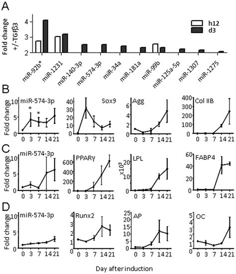 Expression Of Mirnas During Differentiation Of Mscs A Up Regulated