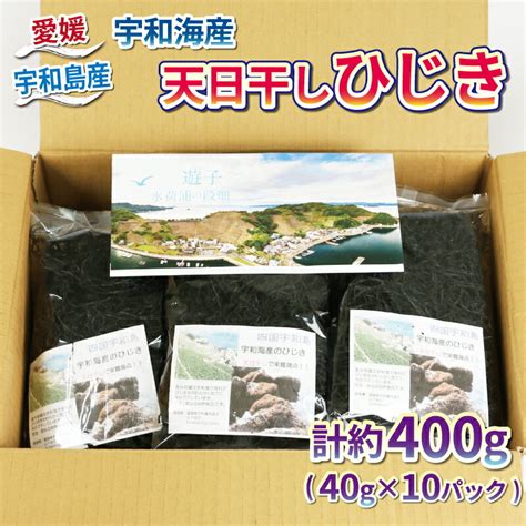 【楽天市場】【ふるさと納税】 宇和海産 天日干しひじき 400g Npo法人段畑を守ろう会 小分け パック ひじき 海産物 海藻 煮物 無添加