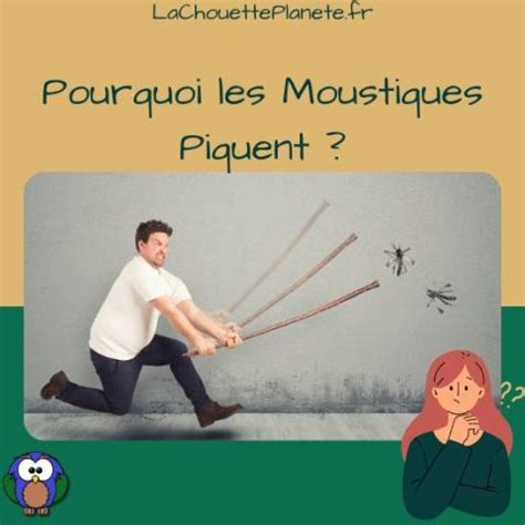 Pourquoi Les Moustiques Piquent Lachouetteplanete