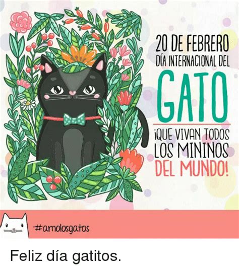 Fm Secla De Febrero D A Internacional Del Gato