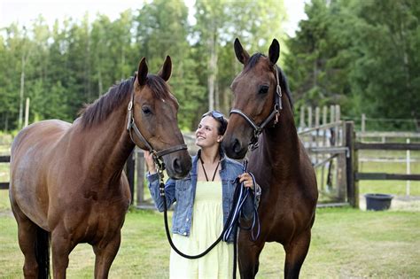 How To Tell If Your Horse Is Happy Top 7 Signs Mad Barn Canada