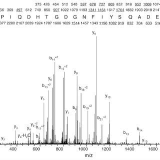 Tandem mass spectrometry analysis confirms the presence of the MAM ...